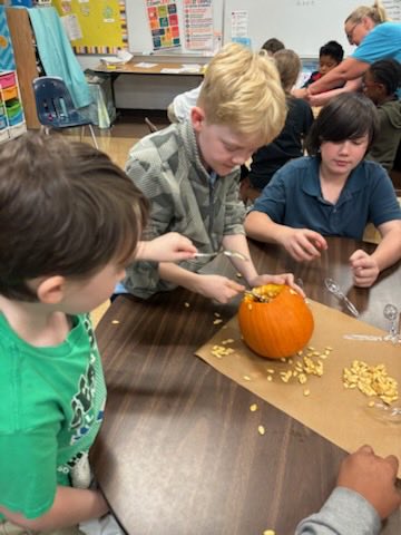 Sea Isle Elementary tweet media