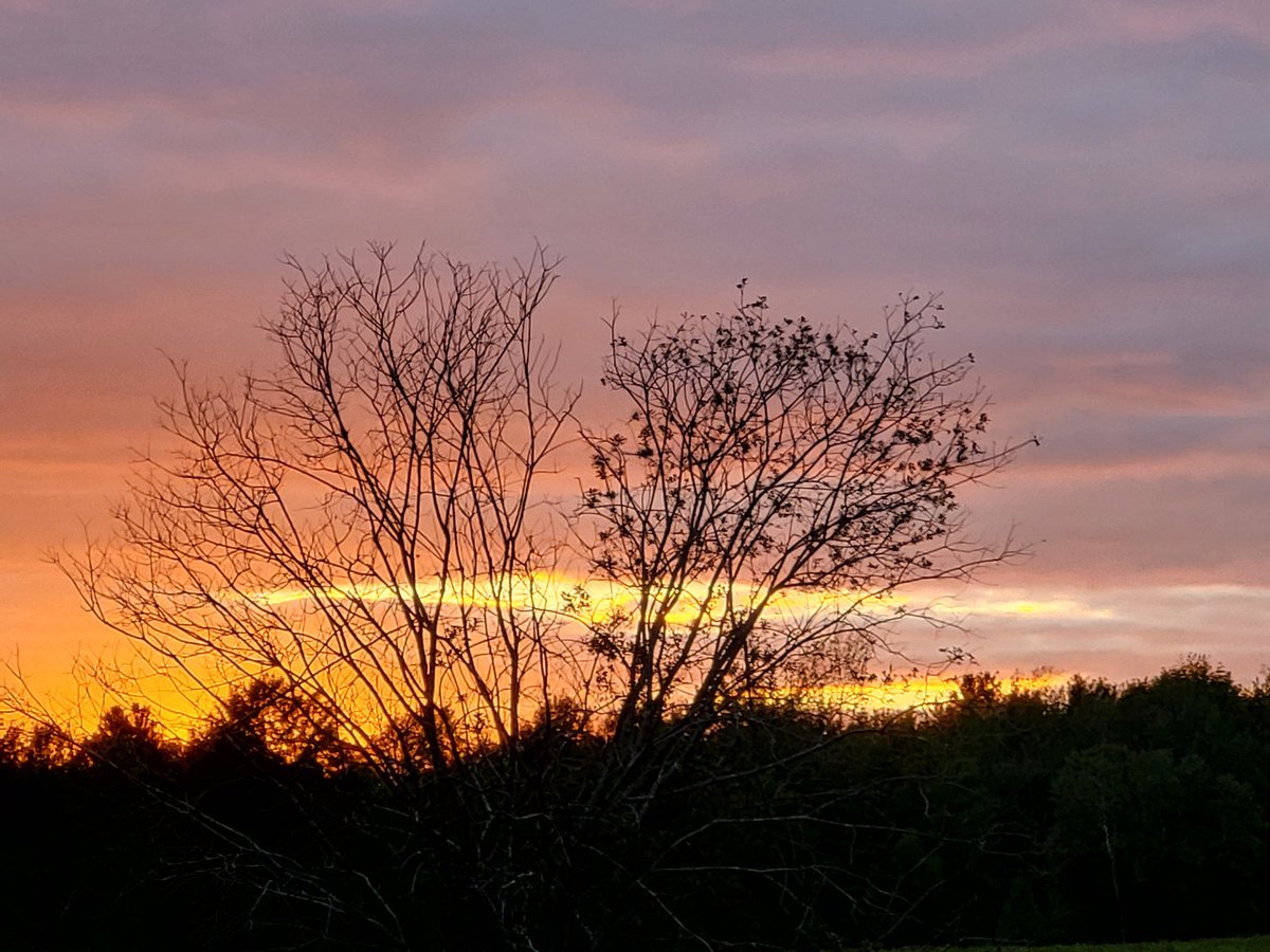 WizzzDom (@dombeaud22) on Twitter photo 