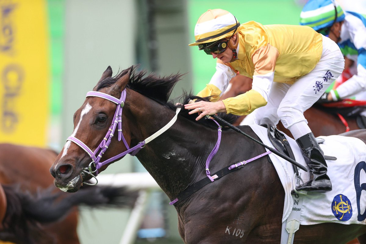 Delighted to see He Was You and Oldtown on the board #HKracing 

Both horses were prepared in Aus by the team at Allan &amp; Jason Williams Racing. 

Well done to all involved. 

📸 <a href="/HKJC_Racing/">HKJC Racing</a>