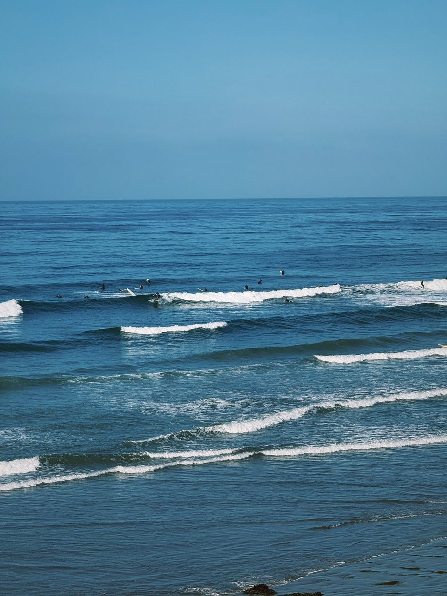 tednotlasso's tweet image. cant believe this is october in southern california