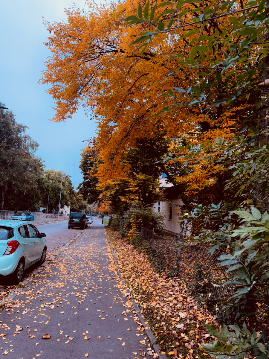 بنده‌ی پاییزم...! 🍂