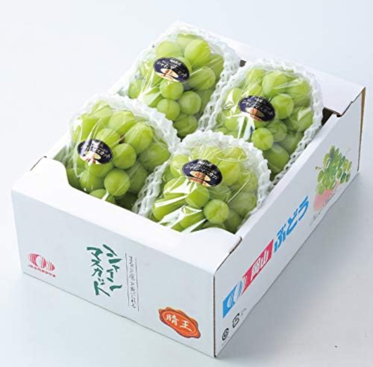 japan_food_loss's tweet photo. ／
📣食べて応援
フードロス削減 
＼ 

ちょっと訳あり
シャインマスカット 晴王 
を1️⃣名様にプレゼント 🍇

① 当アカウントをフォロ—
② 「晴王」とコメント

10月20日23時59分

当選者様にはDMでご連絡します✉️ https://t.co/LUhy9wHb11