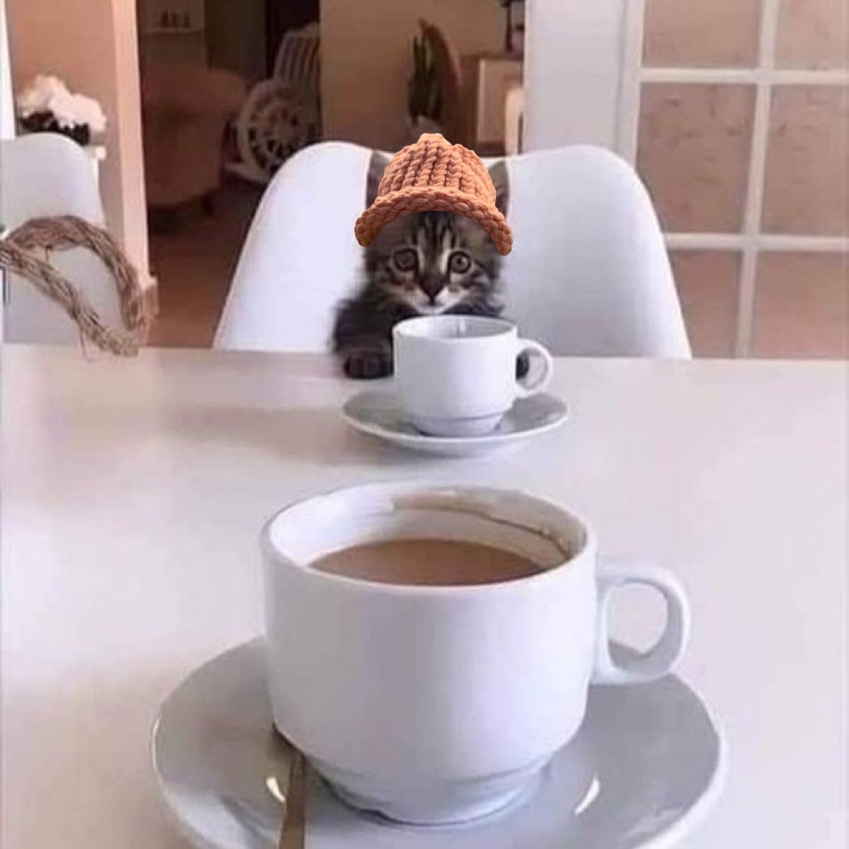 Purrfect coffee date 🎩 $cwif <a href="/catwifhatsolana/">Catwifhat $CWIF</a>