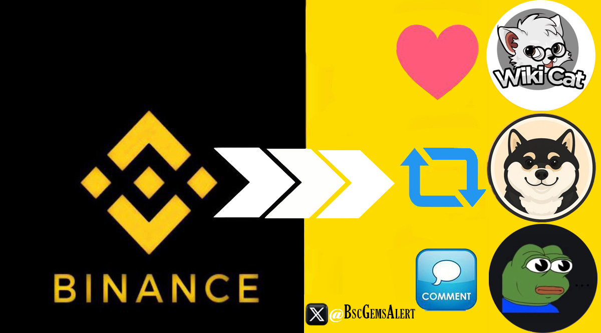 🚨BSC Gems Alert🚨 tweet media