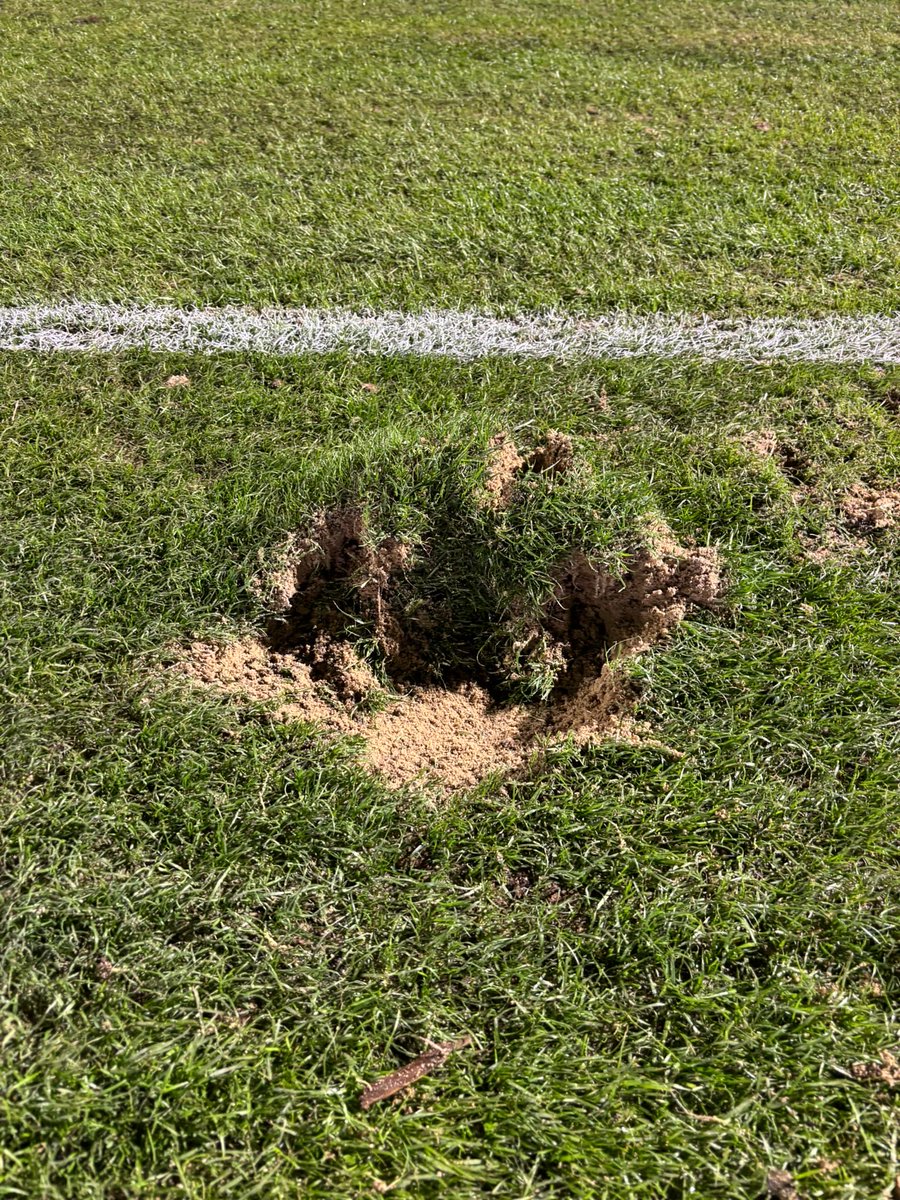 josemanuelpitti's tweet photo. #Patatal 🥔
🏴 No es una excusa, porque no hay nada que justificar: el empate es un buen resultado
🏴 Pero acompaño estas imágenes -del “césped” del Estadio Príncipe Felipe- para fundamentar que es imposible hacer fútbol en estas circunstancias
🏴 Cabe celebrar, esto sí, que hemos superado este “safari” sin lesiones ni lesionados
🏴 Fuimos a jugar al fútbol: no a coger papas
#CacereñoTenerife 💚💙
#LaBregaNosUne 🤼