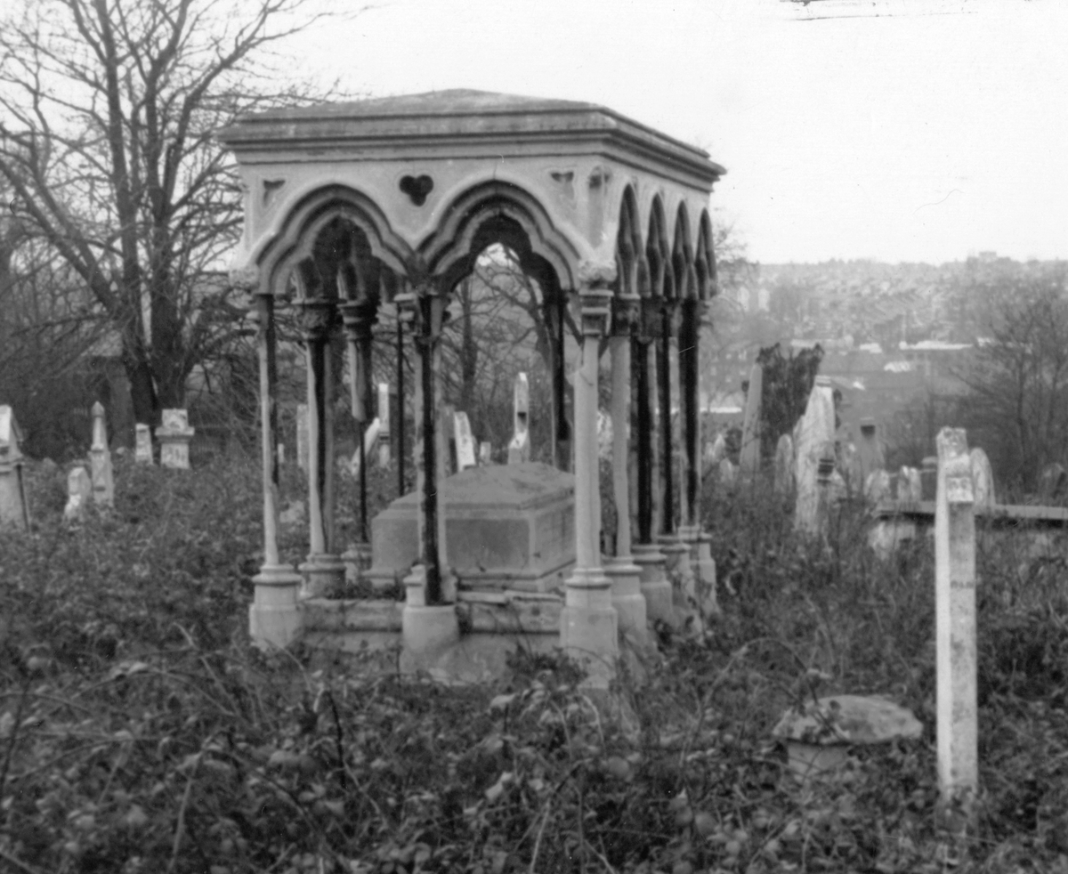 Inconvenient Dead tweet media