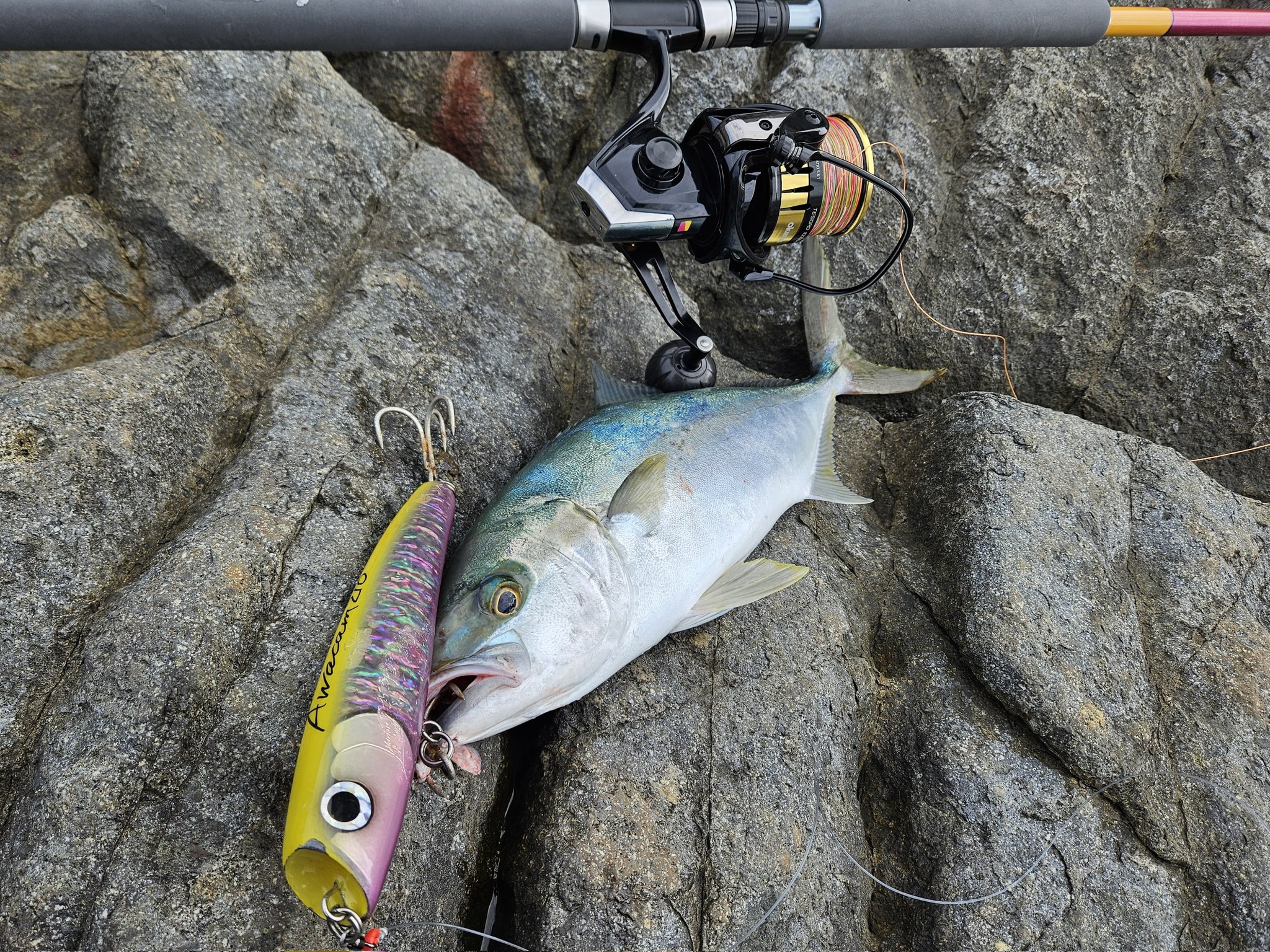 マリモファクトリー - Search / X