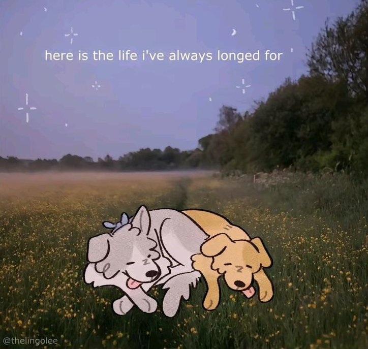 ki ──★ ˙ ̟ tweet media