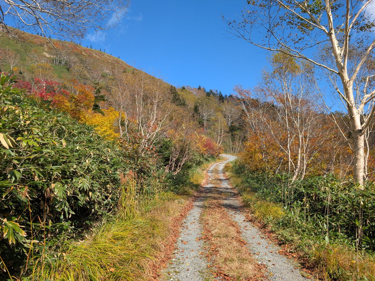 takek10d's tweet photo. 群馬県片品村に行って来ました。
標高の高い場所では、紅葉が始まっていました。
2025年10月12日
#紅葉 https://t.co/uF4MIHqBSa