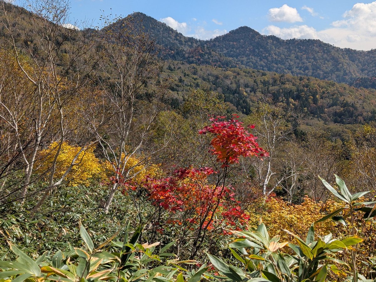 takek10d's tweet photo. 群馬県片品村に行って来ました。
標高の高い場所では、紅葉が始まっていました。
2025年10月12日
#紅葉 https://t.co/uF4MIHqBSa