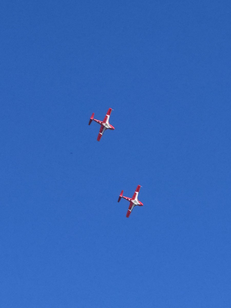 do you think they’re on a tn visa