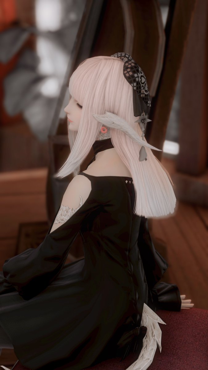 wisecatio's tweet image. 