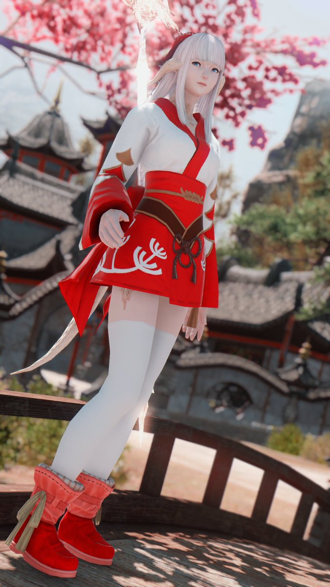 wisecatio's tweet image. 