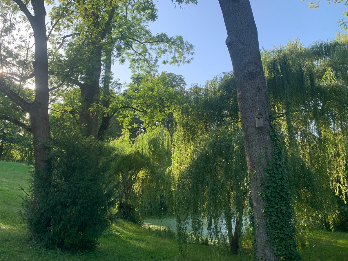 Mireia Casanyes Dalmau tweet media