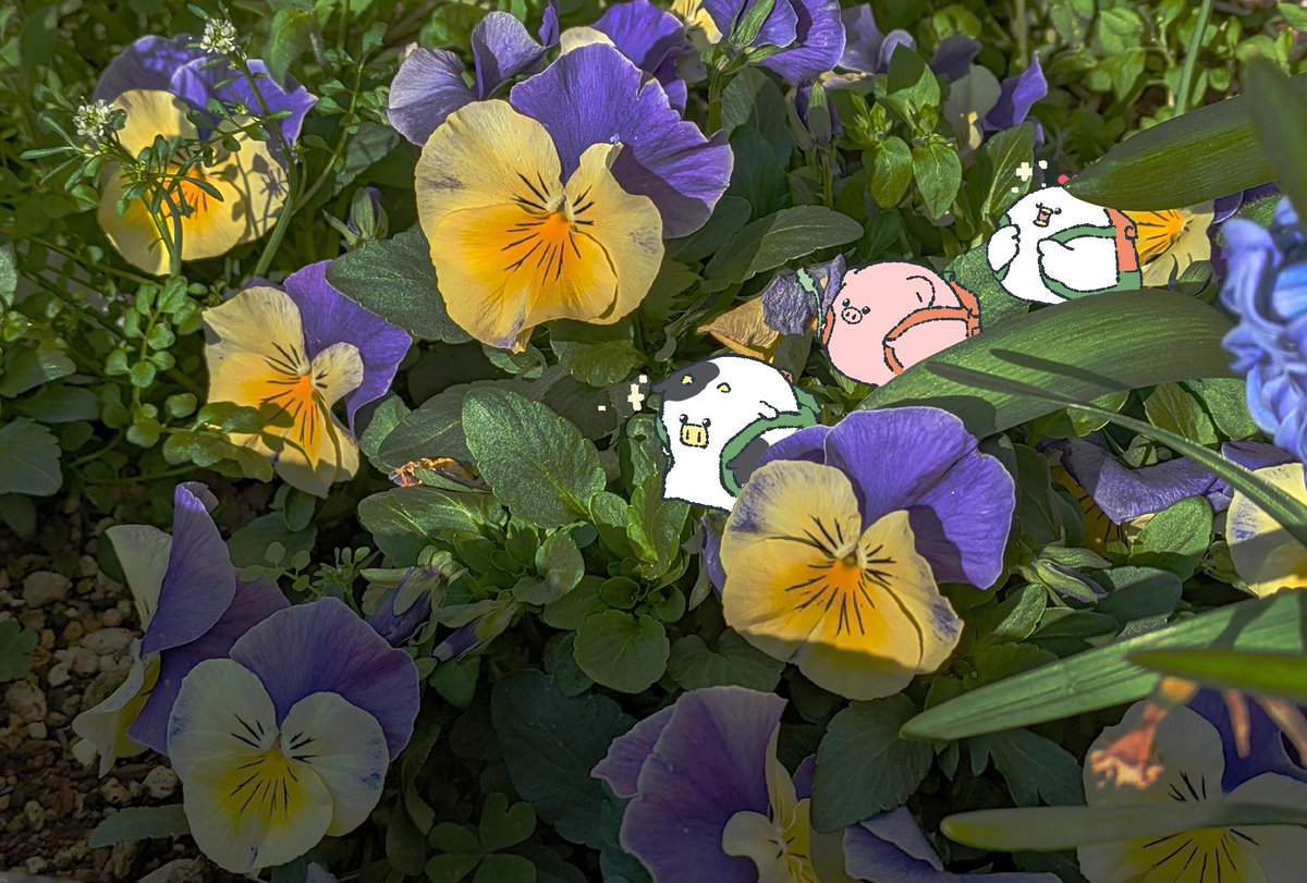 おはようございます☀

今日はスポーツの日！
みんなでお花畑にピクニック〜(* ॑ᵕ  ॑*  )♪

#スポーツの日