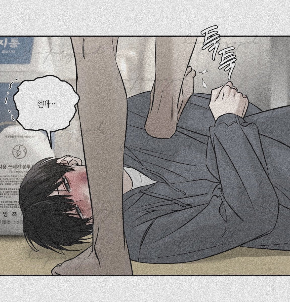 ♡ 로페스YD ♡ tweet media