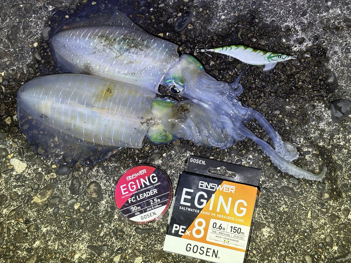 つっちゃん on X