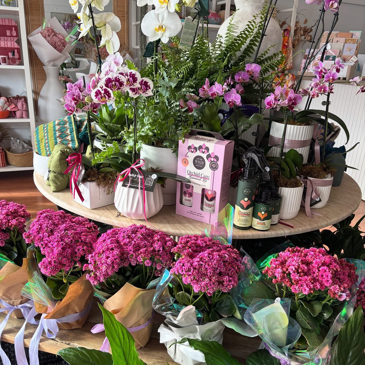 RubyOakFlorist's tweet photo. This flower life is good to me 🫶🏼
Beautiful blooms filling our Corrimal store — soft pastels, bright seasonal colour &amp; all the good flower vibes 💐✨
#RubyOakFloristry #CorrimalFlorist #WollongongFlowers #FlowerDelivery #FloristLife #FreshBlooms #FlowerLove https://t.co/fIZJGjLi0H