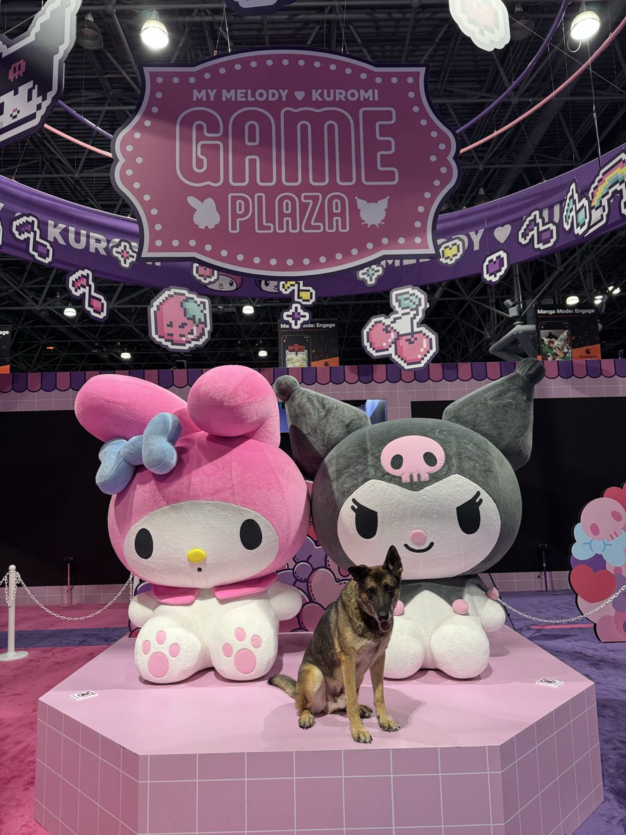 Welcome to #nycc!  A glimpse into some of the cool things you would see <a href="/NY_Comic_Con/">New York Comic Con</a>. There is so much fun, excitement &amp; creativity on display at the #javitscenter.  #lovek9louie #comicconnyc #iamnycc