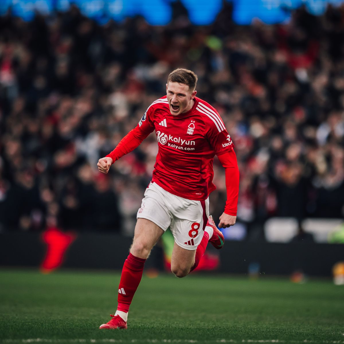 𝗦𝘁𝗲𝘃𝗲𝗻 tweet media