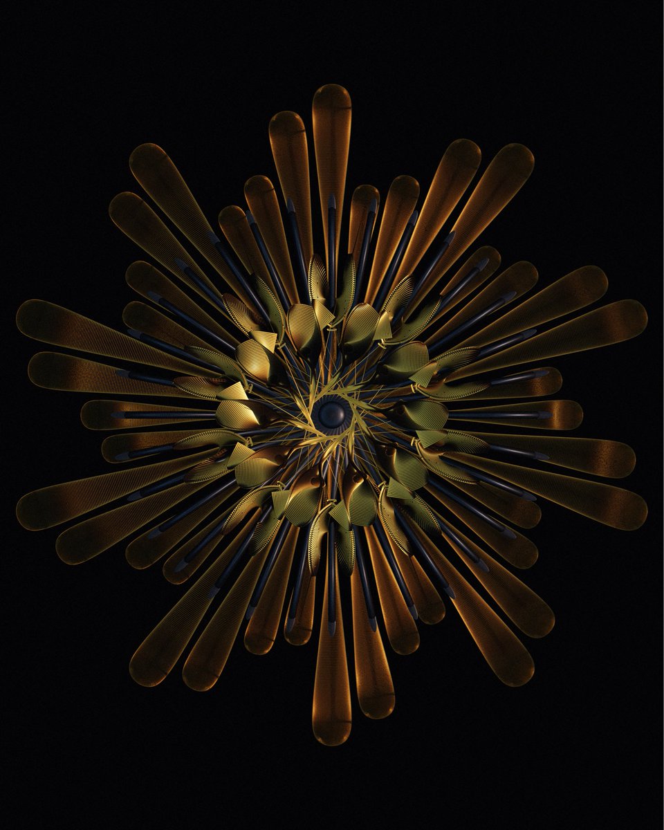 EMILY NICOLL tweet media