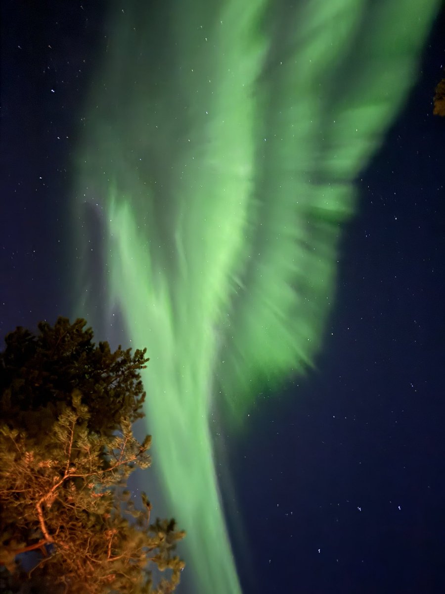 Alltid lika fantastiskt ❤️