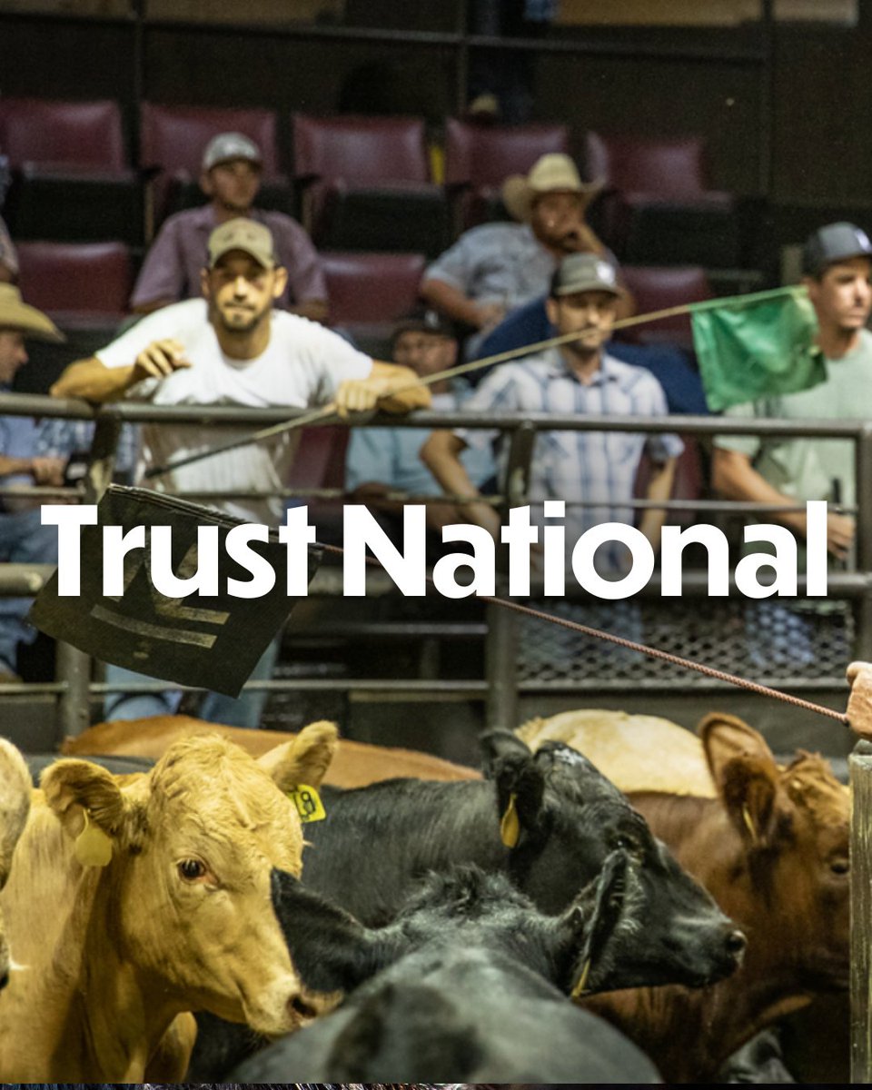 Decades of experience. Generations of trust. National Livestock has been the brand ranchers trust when it comes to marketing their cattle.

Give our team and let us build a plan for you. #TrustNational

David Lawson ☎️ 405-823-2148
Scott McCornack ☎️ 405-664-1489