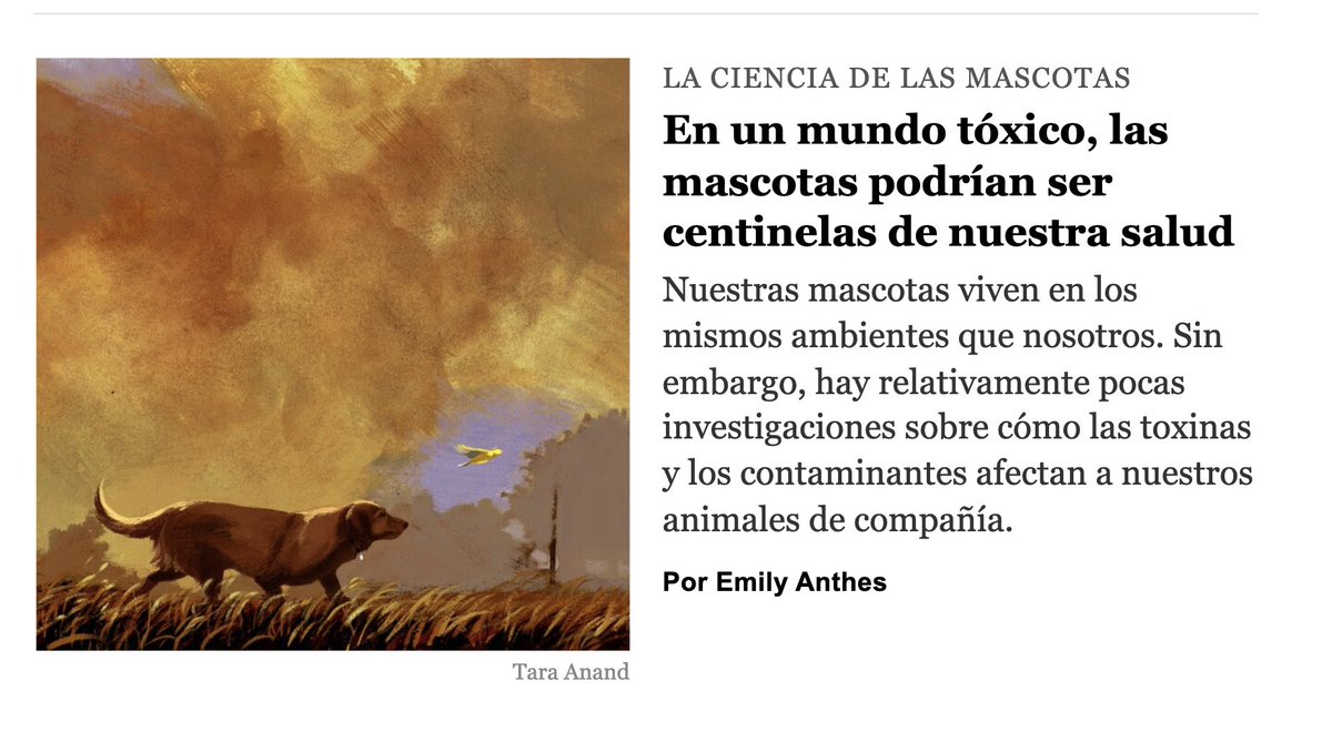 nytimes.com/es/2025/10/08/…