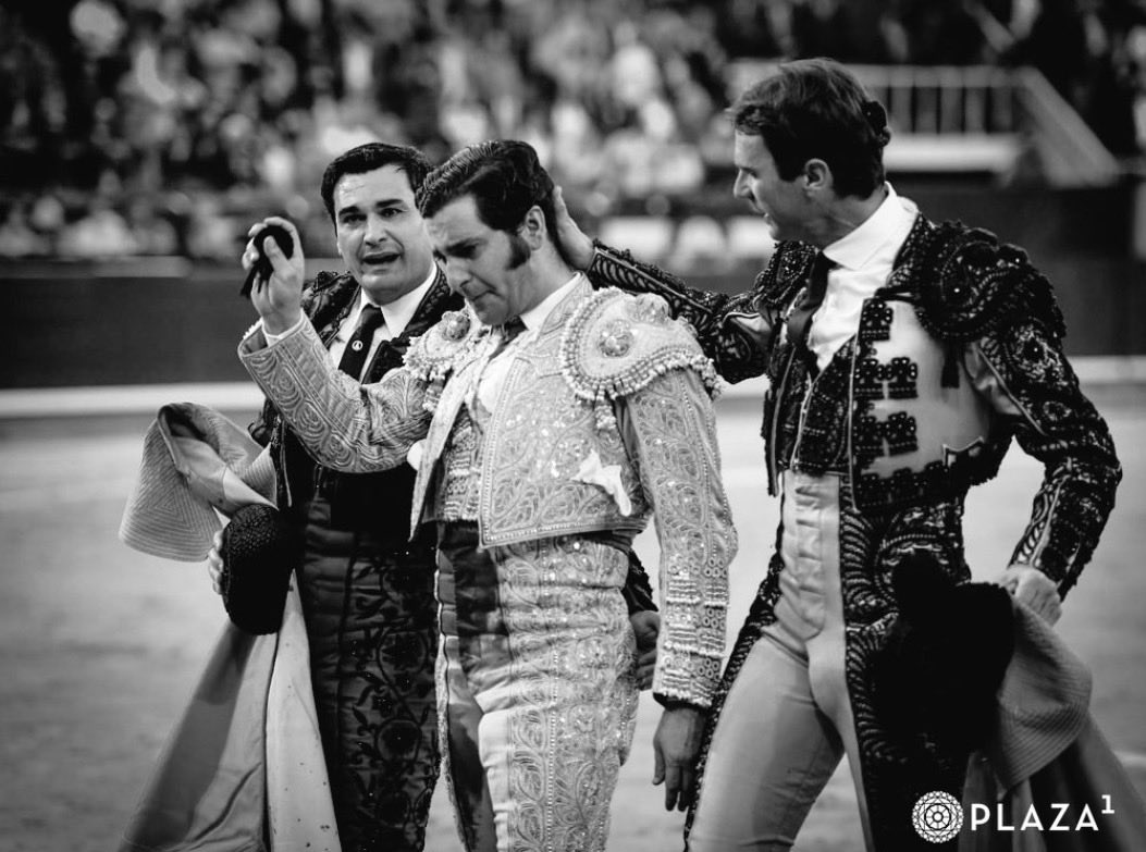 Ya no veo más toros