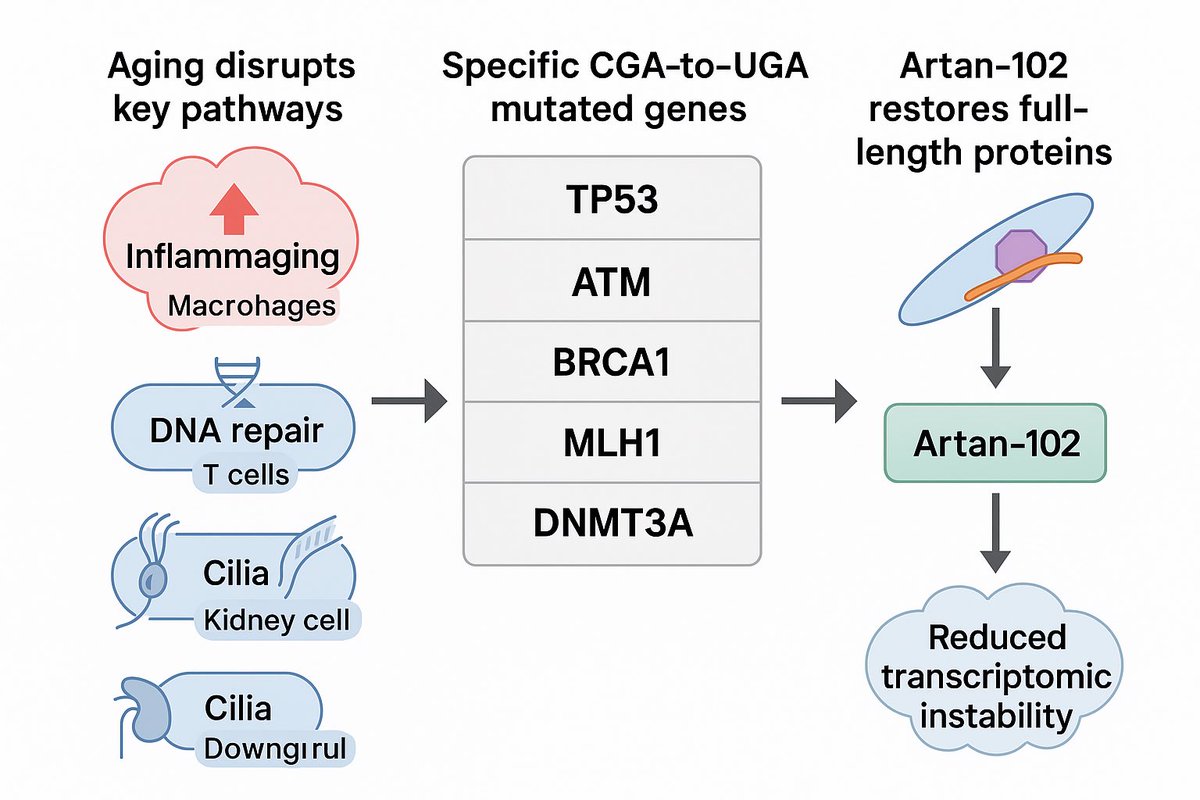 Michael Torres tweet media