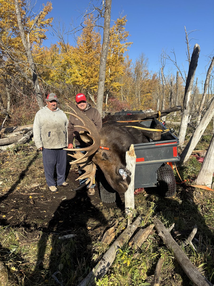 Went for a morning moose hunt with the neighbour yesterday. Had a great spot and stock set up just after sunrise. It was successful. Took some good photos of him and his dad. Great morning. Easy retrieval.

#Sako #tikka #moosehunt #kawasaki #hunting