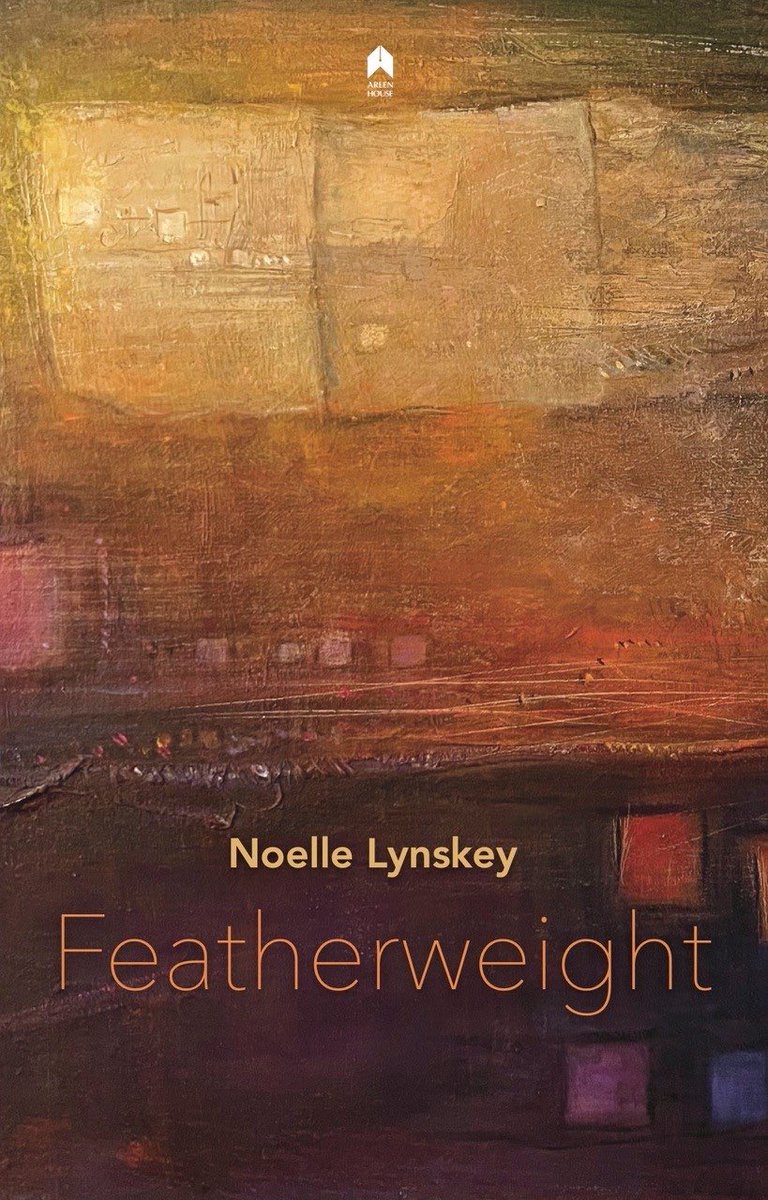 DNLitFest tweet media