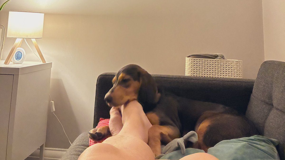 Ben Brogden tweet media