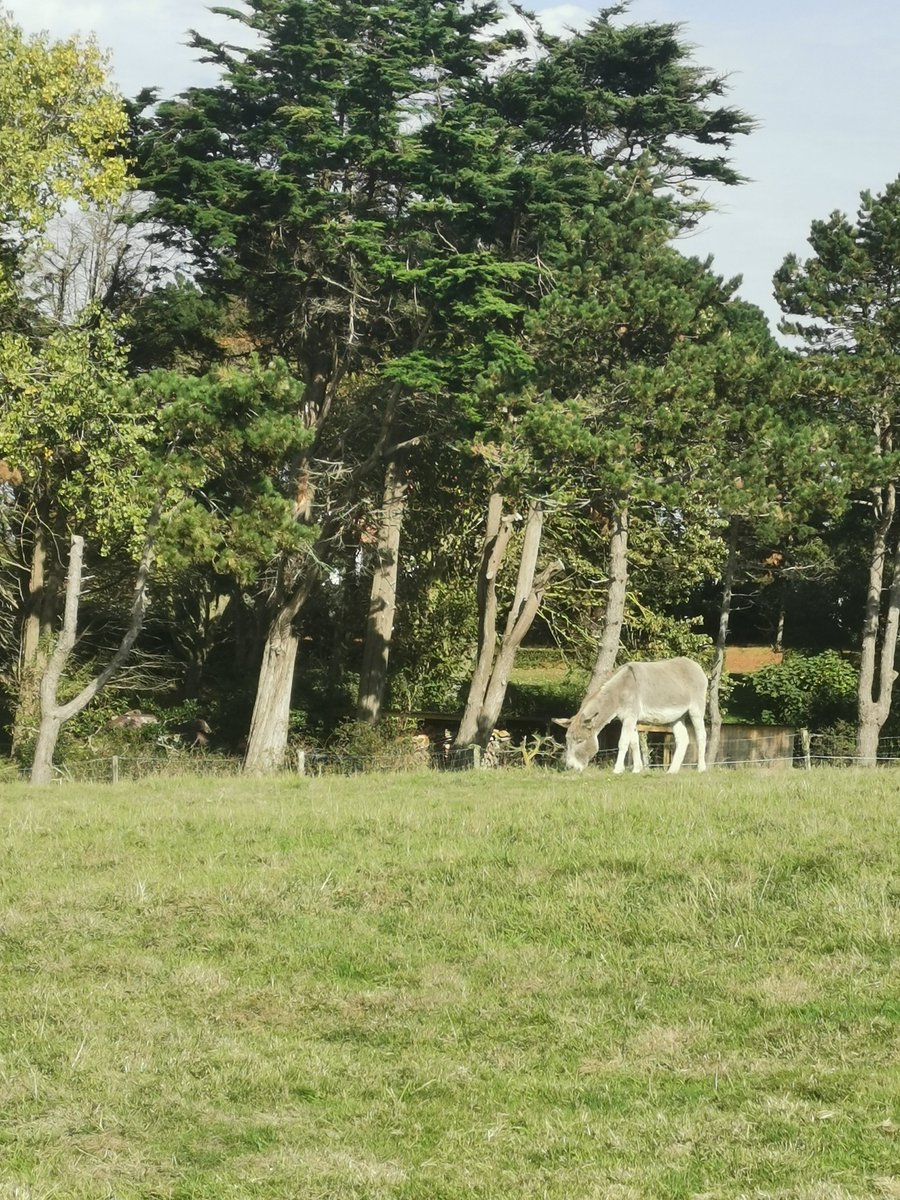 Carla BZH (@carlabzh) on Twitter photo Un beau dimanche ensoleillé ! En pleine #nature comme d'habitude. Indispensable pour moi ! ❤️😎🔆 #Planguenoual #CotesdArmor #Bretagne #MagnifiqueBretagne #France #MagnifiqueFrance Un beau dimanche ensoleillé ! En pleine #nature comme d'habitude. Indispensable pour moi ! ❤️😎🔆 #Planguenoual #CotesdArmor #Bretagne #MagnifiqueBretagne #France #MagnifiqueFrance