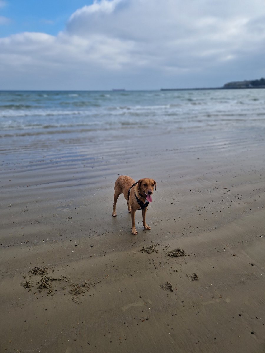 Vicky_Freeman's tweet image. A lovely, sunny autumnal afternoon on Weymouth Beach