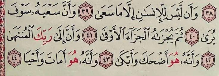 ﴿ لاَ يُكَلِّفُ اللّهُ نَفْساً إِلاَّ وُسْعَهَا ﴾