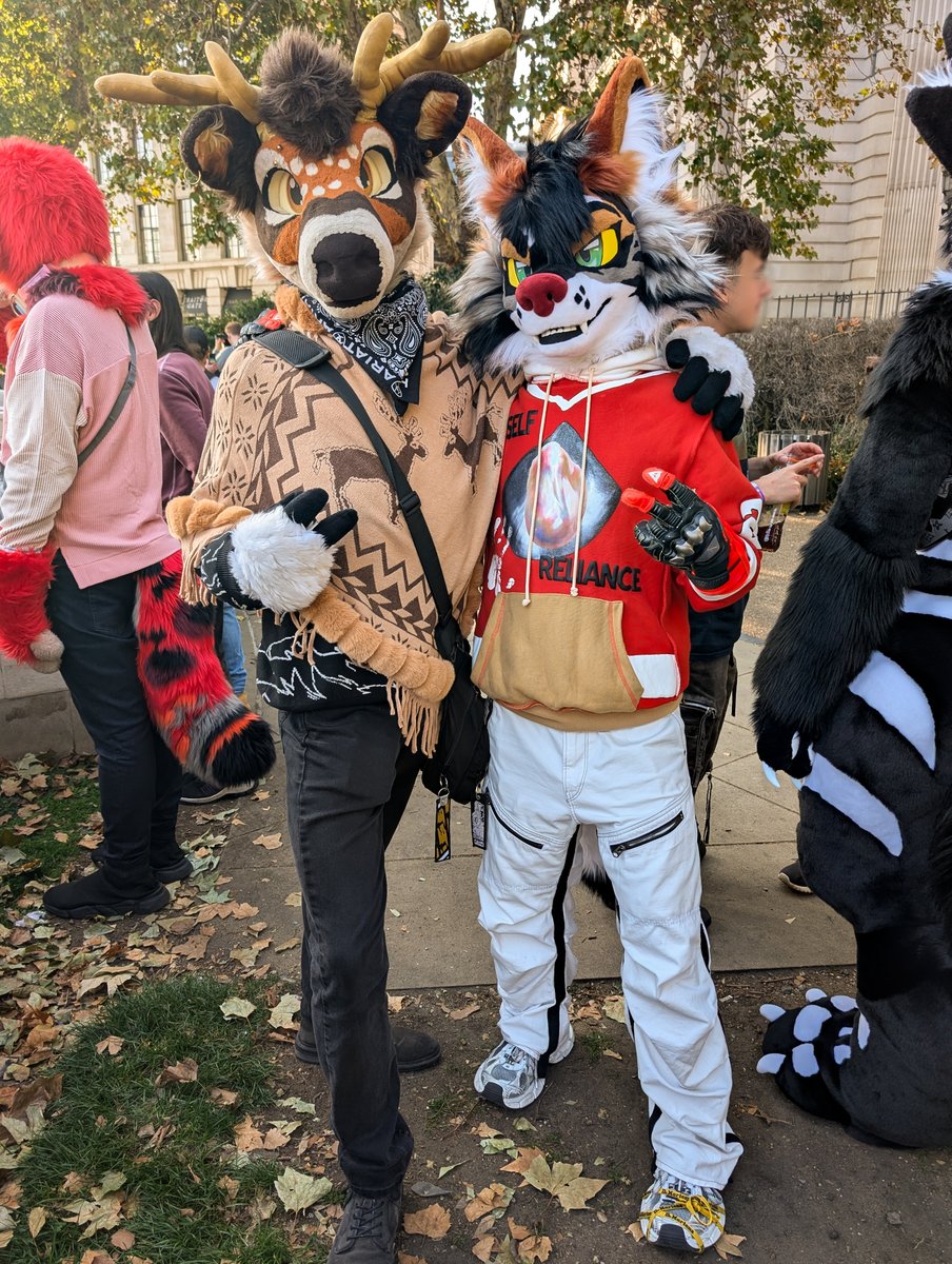 velyote's tweet photo. 🦌 @vincehooves 
📸 @FurryDakota https://t.co/C7X1fDbuOZ
