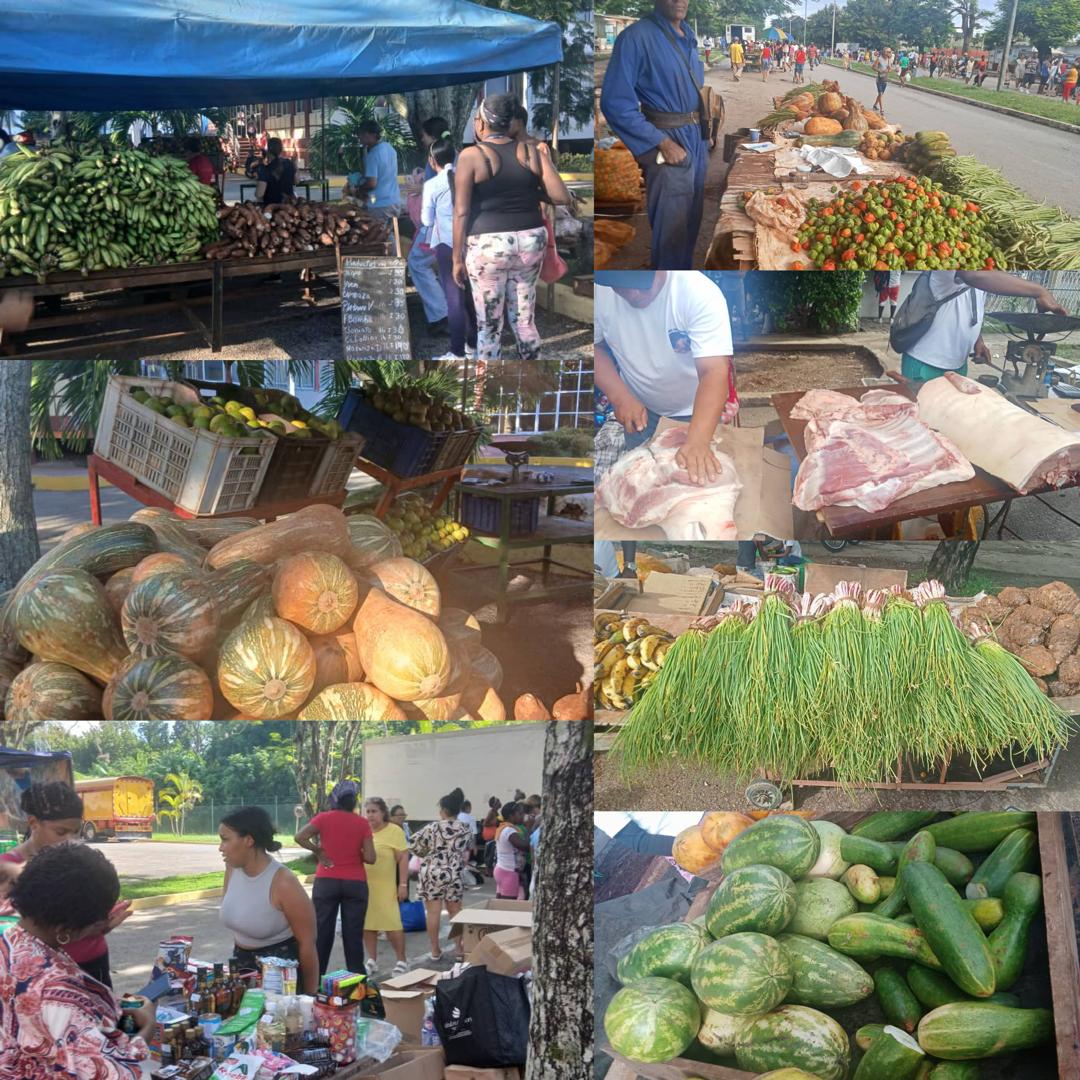 Se realizó feria de productos agropecuarios en los 15 municipios de #LaHabanaDeTodos, con variadas ofertas para el pueblo.
#LaHabanaViveEnMí
