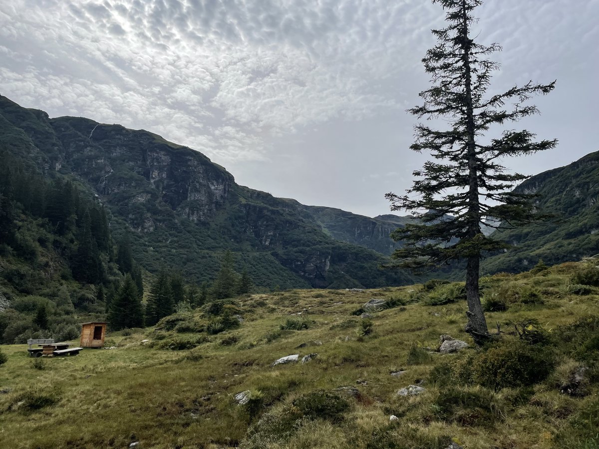 Adrian von Ziegler tweet media