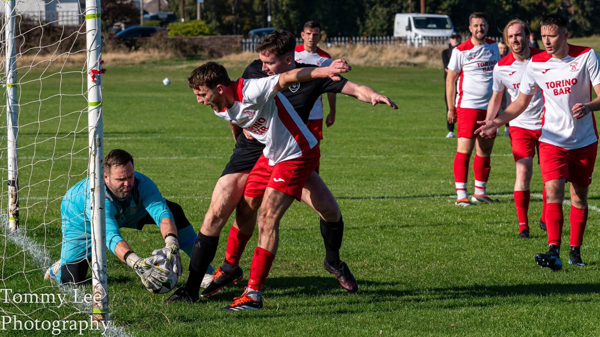 Thomas Lee tweet media