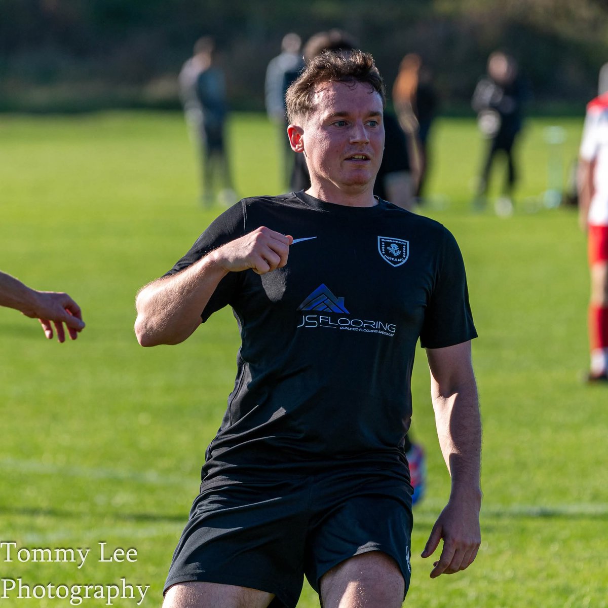 Thomas Lee tweet media