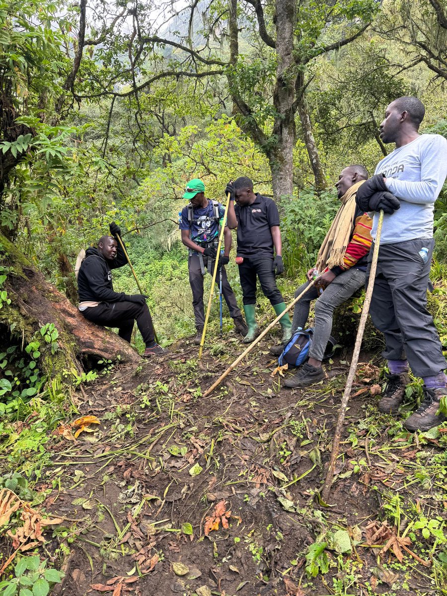 Beautiful_Ug1's tweet photo. Thank you @ugwildlife
Thank you team for the record breaking
Hiking and summitting Mt Elgon in 48hrs
@ExploreUganda #BeautifulUg
@umar_mu @MTWAUganda https://t.co/jPrzq0ociL