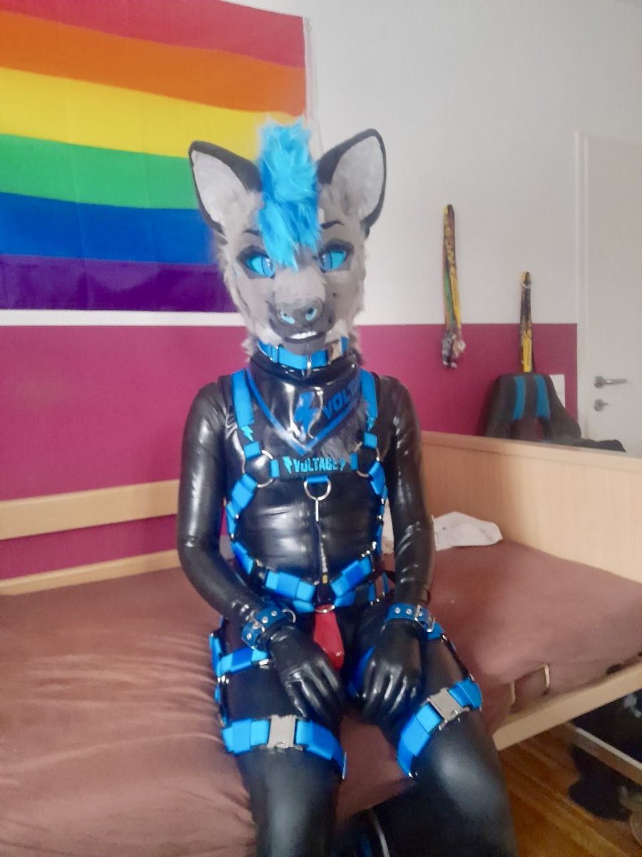 Shiny blue yeener tweet media