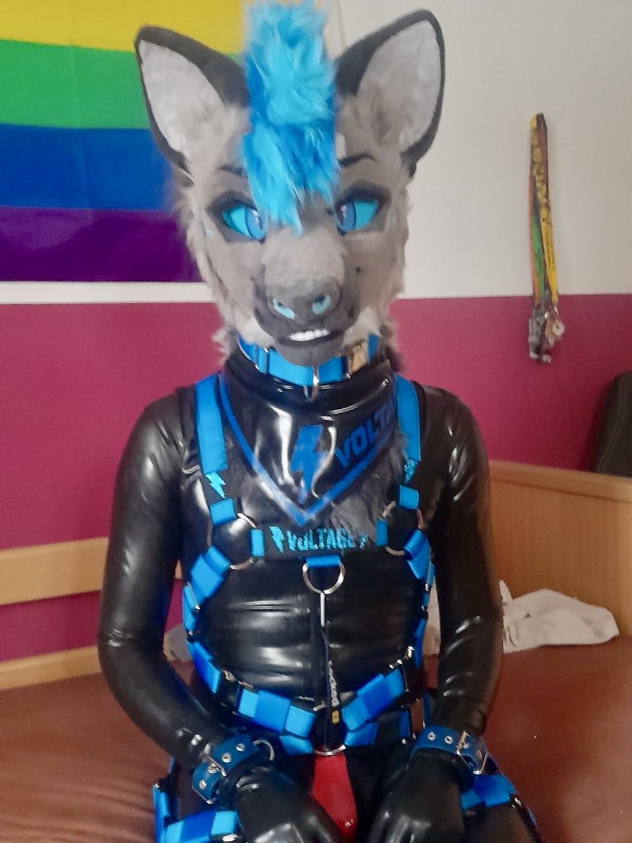 Shiny blue yeener tweet media