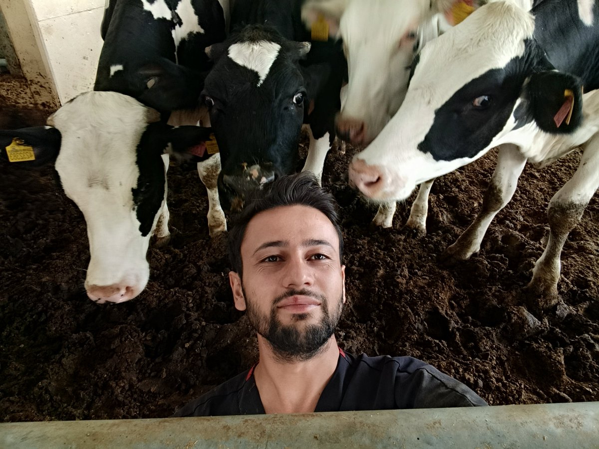 brahim136782843's tweet photo. İlgi ;-) https://t.co/RsMHyD0VSI