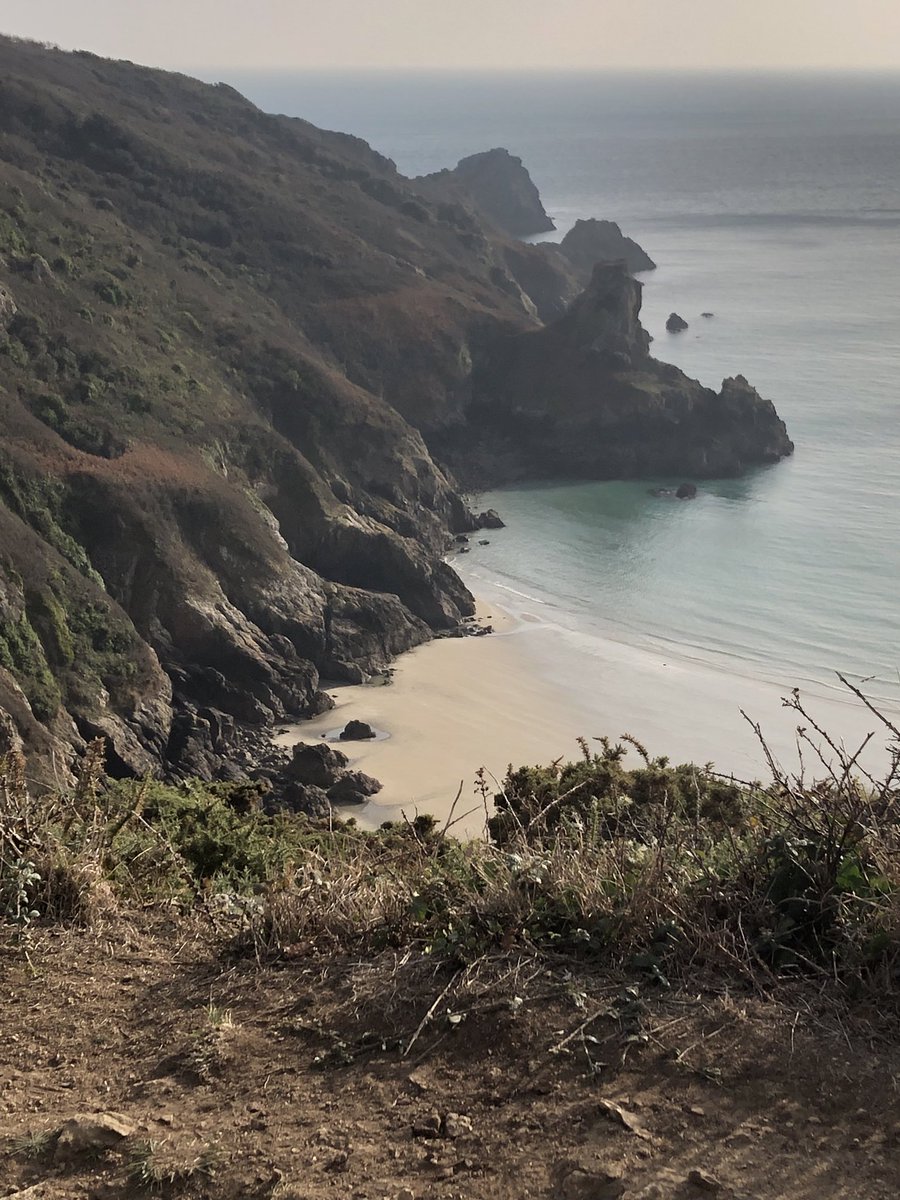 mary carey tweet media