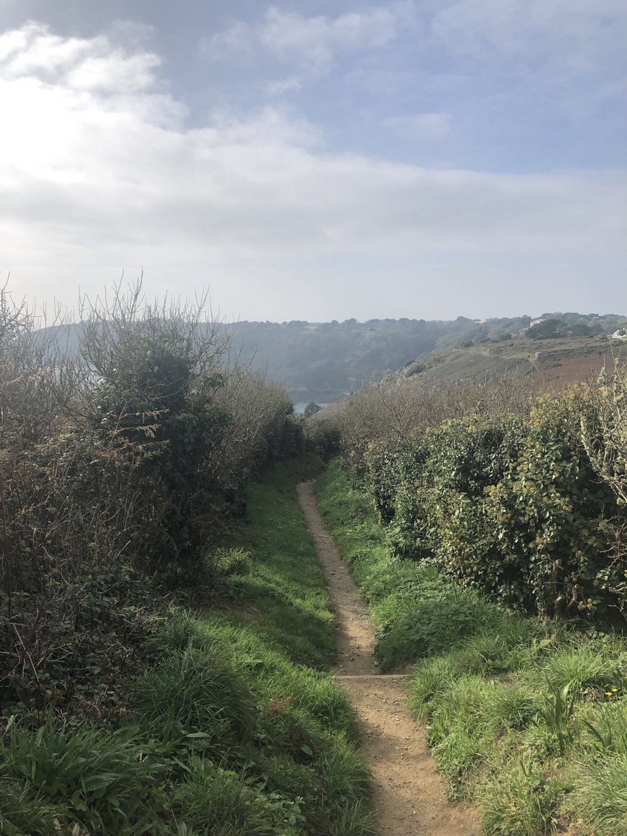 mary carey tweet media