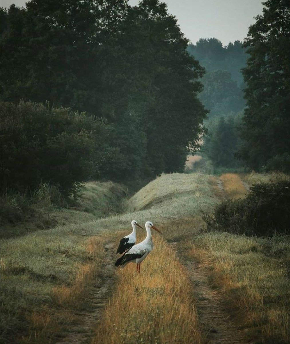 Gençler,izdivaç'a faiz yüküyle gidiyor ve sen bu koşulda İstikbale bir nebze istikrar huzurmu istiyorsun?.