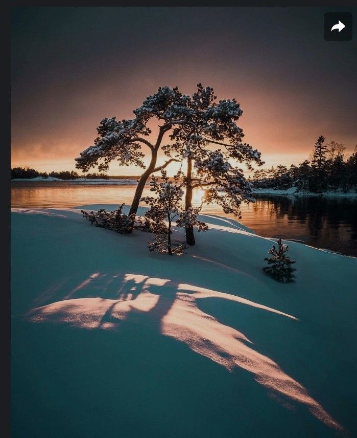 angelicaio81153's tweet image. Magical Light 

#artwork #landscape #photography