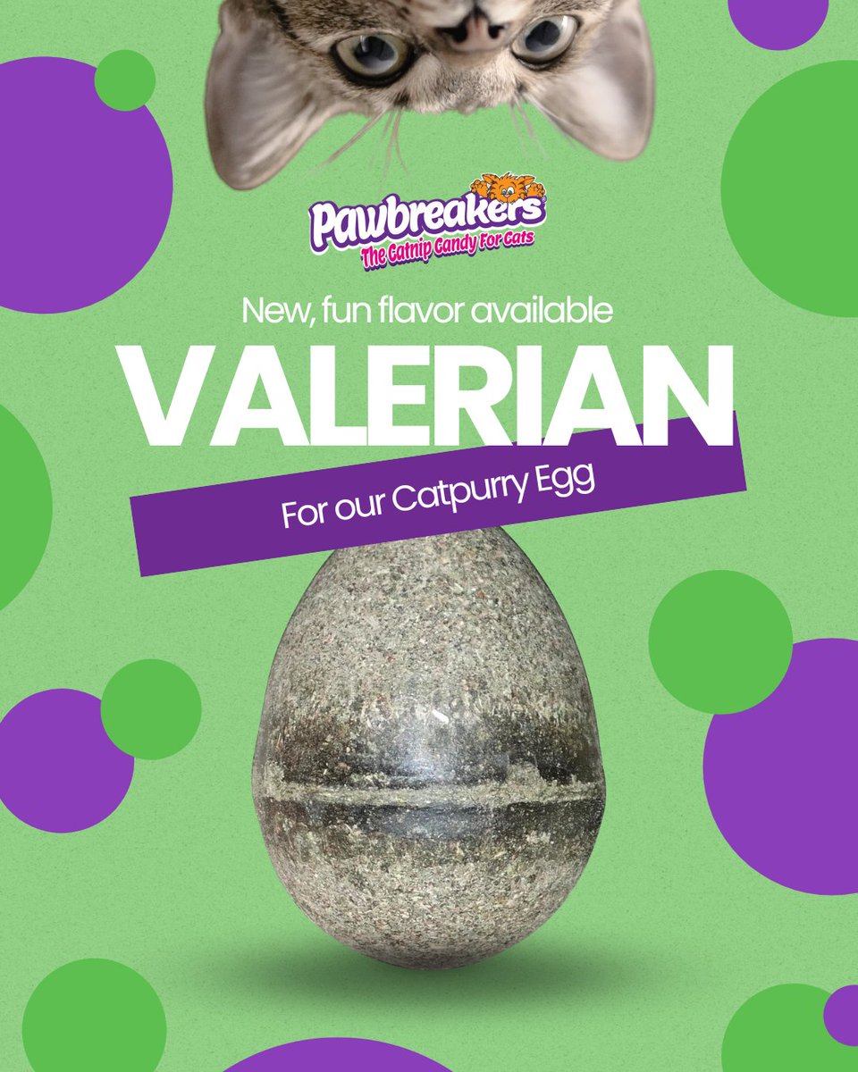 MrCatnip_222's tweet image. NEW Artisan Select: Valerian 🌿
Crafted with care, this gourmet mix blends catnip with valerian root for a naturally calming effect. Ideal for stress-filled moments. 🌙💤
#catpurryegg #catniptoy #anxietyreducer #anxietyreliever #valerian #tranquil
wix.to/x70tfSt